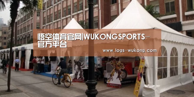 案例标题九